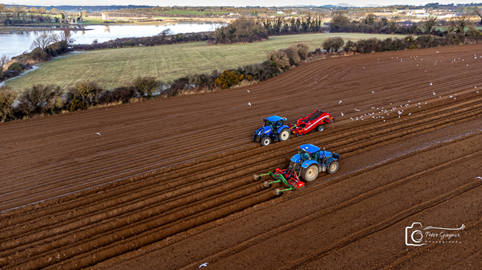 20240119-DJI_0447